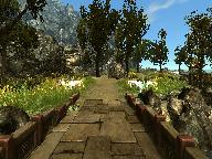 Лунные пауки