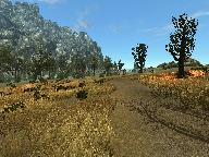 Пепельные холмы