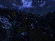 Черный страж