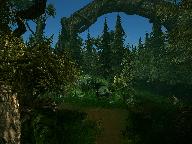 Лес Иэн-Шалл