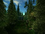 Темные пантеры