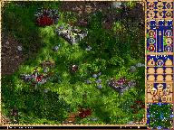 Мальгримия - Внешний вид карты