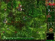 Мальгримия 2 - Кое где все еще светит солнце, некроманты тут еще не побывали.