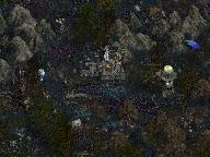 Мальгримия 2 - Внешний вид карты.