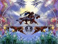 Всадник в мире Мальгримии