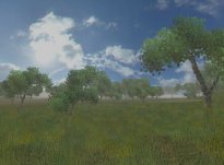 Скриншоты из Might And Magic Tribute.
Вся информация об игре на форуме.