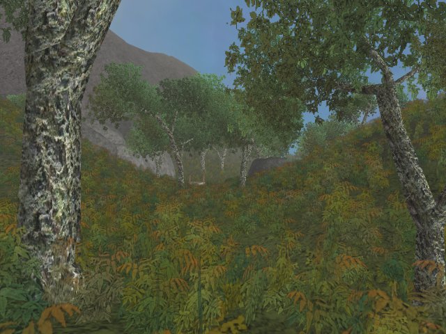 Скриншоты из Might And Magic Tribute.
Вся информация об игре на форуме.