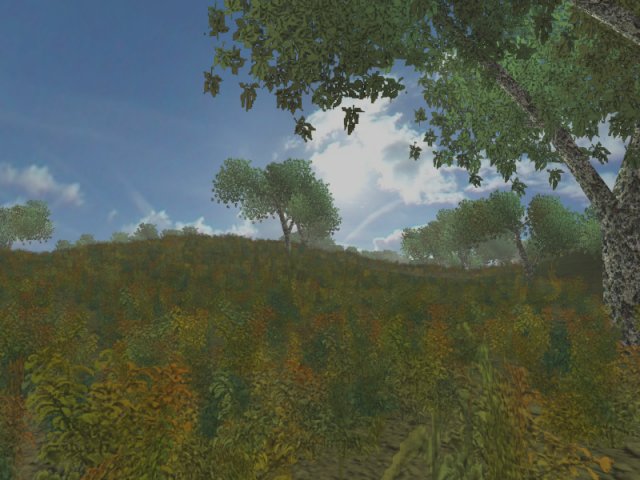 Скриншоты из Might And Magic Tribute.
Вся информация об игре на форуме.